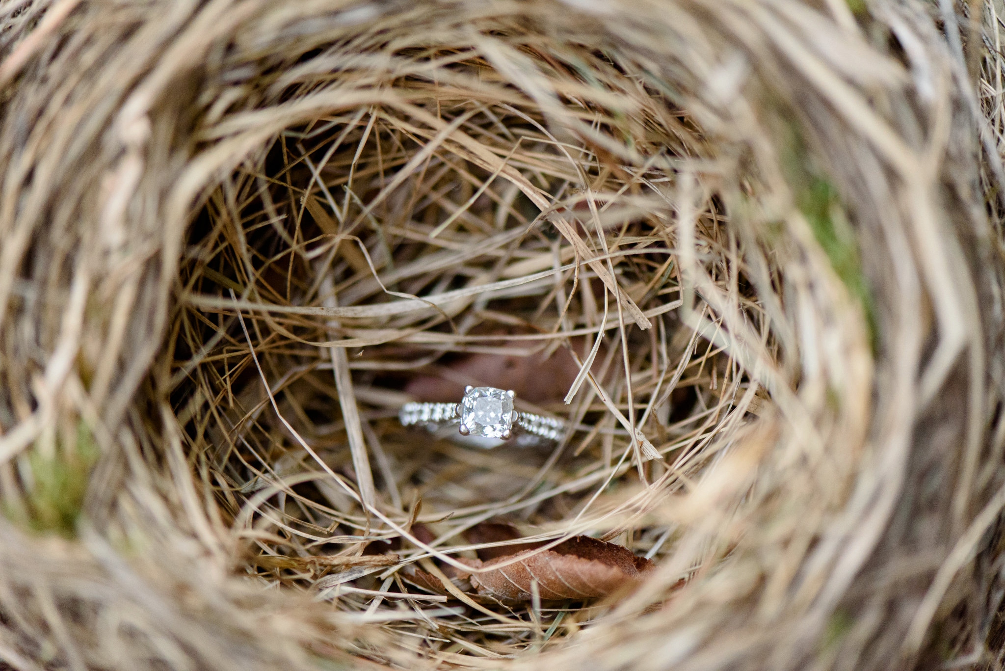 Field Engagement Session - Alabama Wedding Photographer_0053.jpg