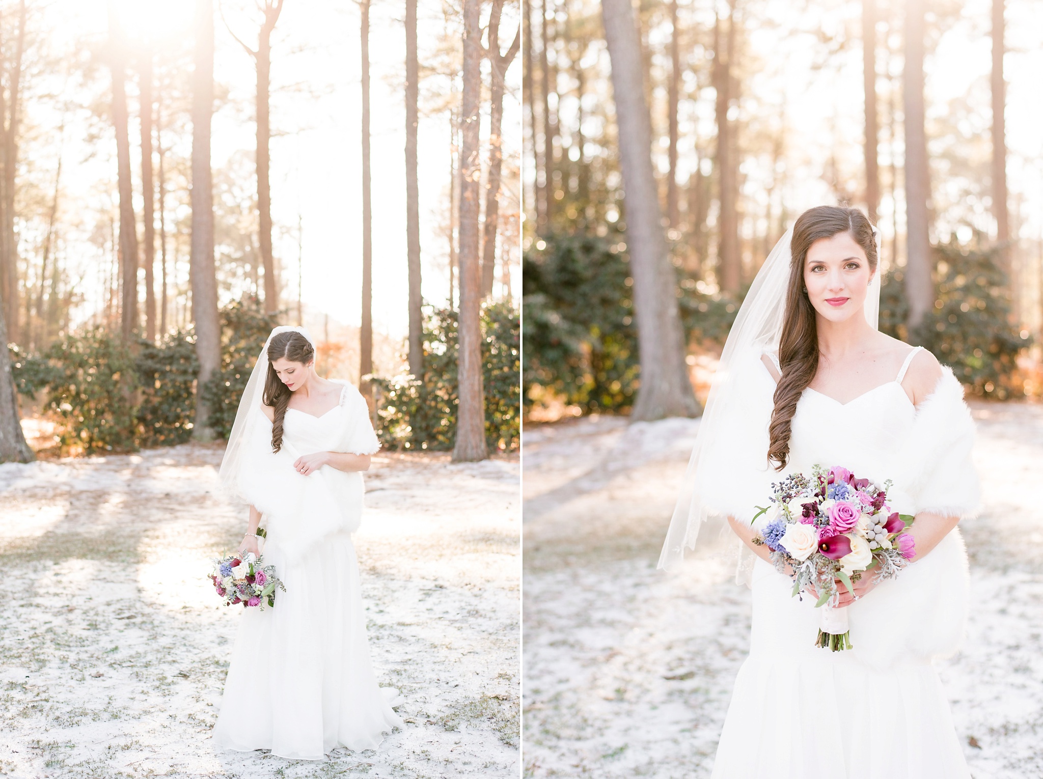 Snowy Winter Aldridge Gardens Wedding | Birmingham Alabama Wedding Photographers_0013.jpg