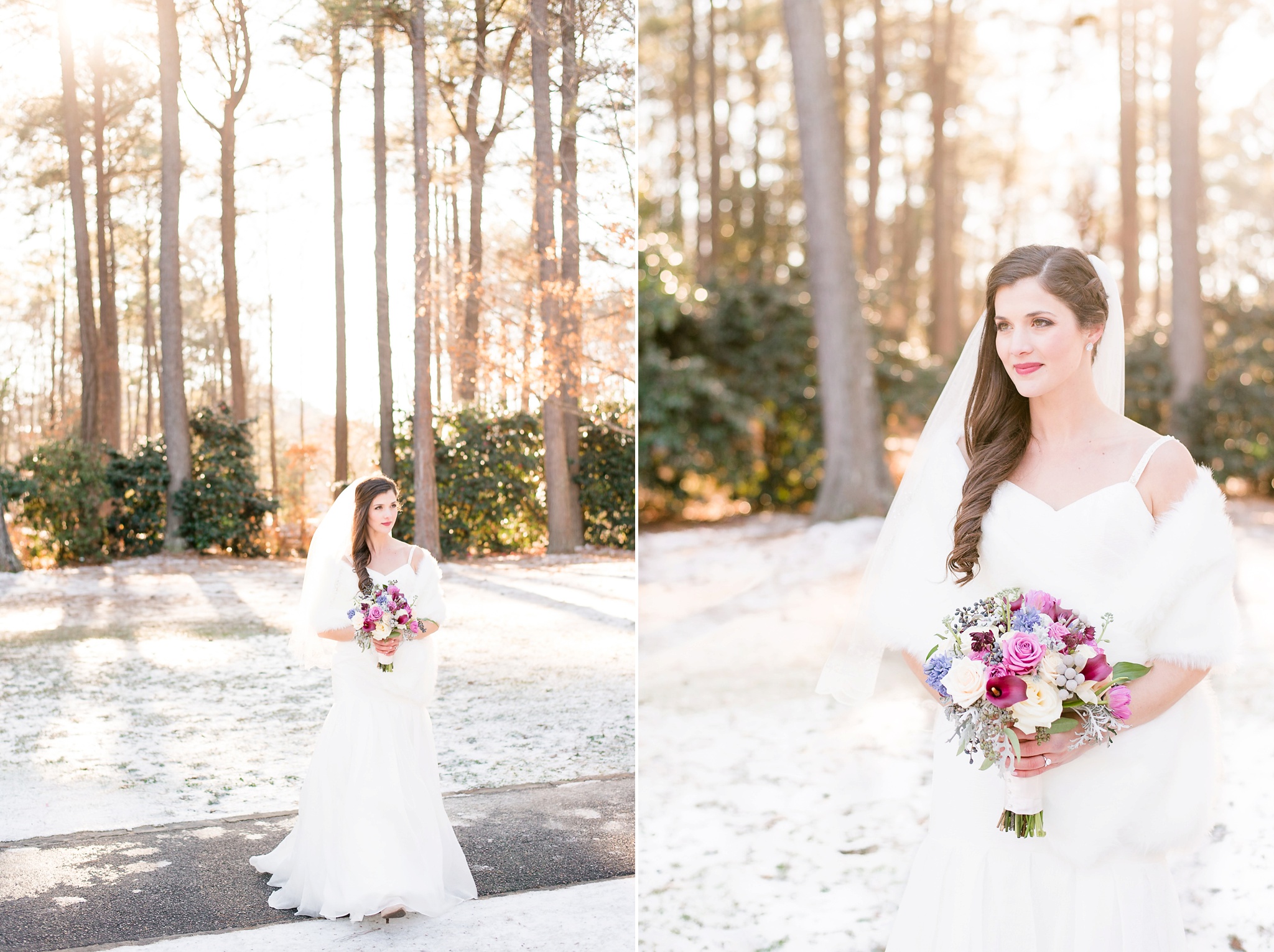 Snowy Winter Aldridge Gardens Wedding | Birmingham Alabama Wedding Photographers_0015.jpg