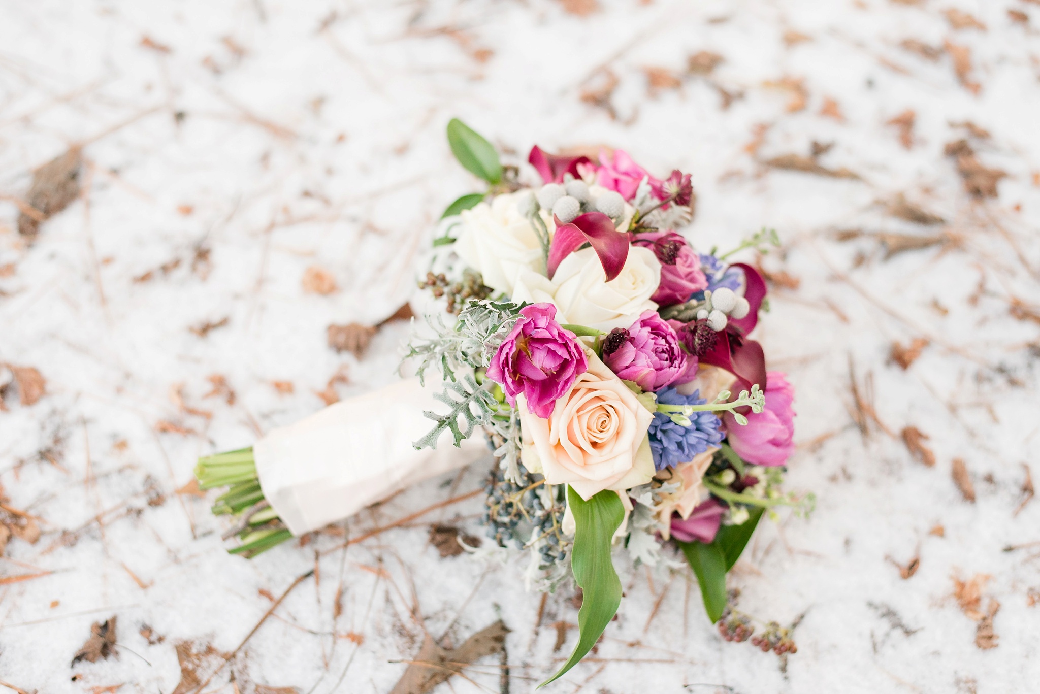 Snowy Winter Aldridge Gardens Wedding | Birmingham Alabama Wedding Photographers_0038.jpg